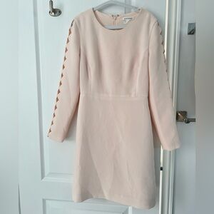 Club Monaco Blush Long Sleeve Dress